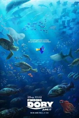 Dory